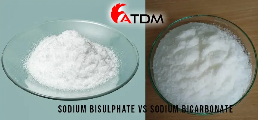 Sodium Bisulphate vs Sodium Bicarbonate