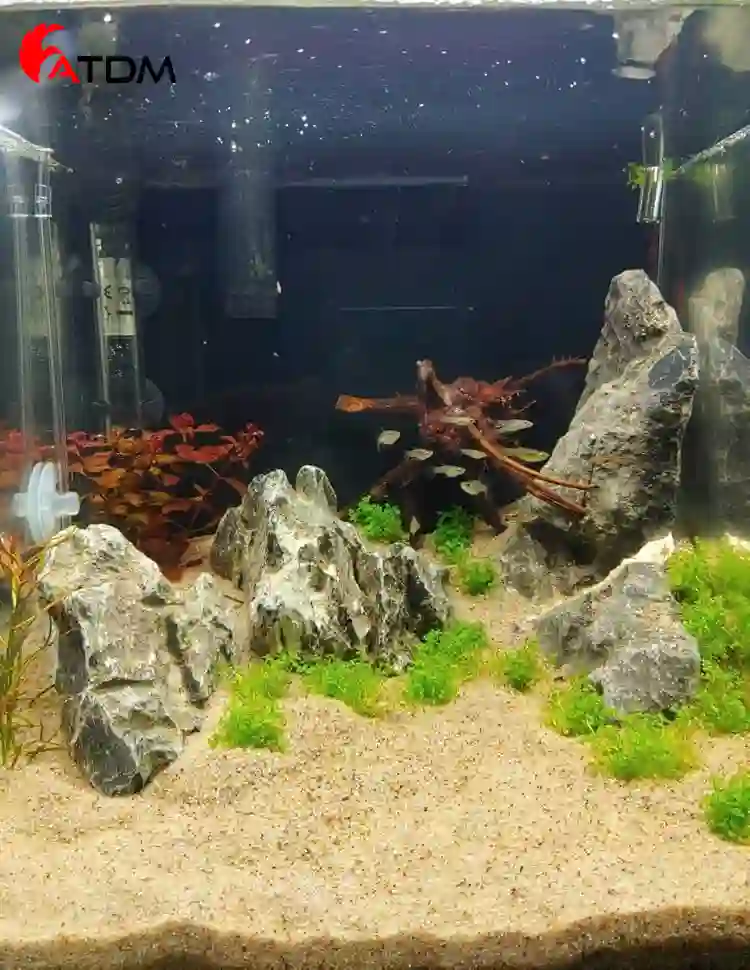 silica sand for aquarium substrate